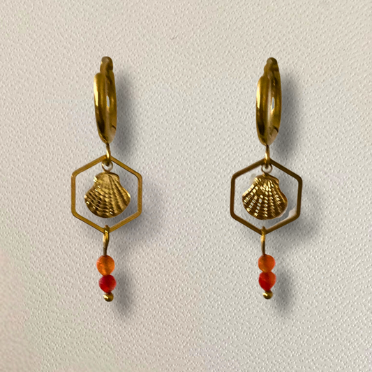 Créoles Cora ♢ charm coquillage